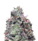 1760432949090.png 1760432949090.png