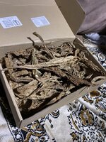 IMG_0920.jpeg IMG_0920.jpeg