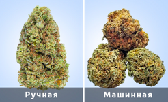 1760613848889.png 1760613848889.png