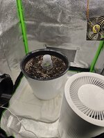 IMG_20251017_233727.jpg IMG_20251017_233727.jpg