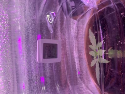 CBED8E29-80BB-44DE-8AF5-9425CC9166DA.jpeg CBED8E29-80BB-44DE-8AF5-9425CC9166DA.jpeg