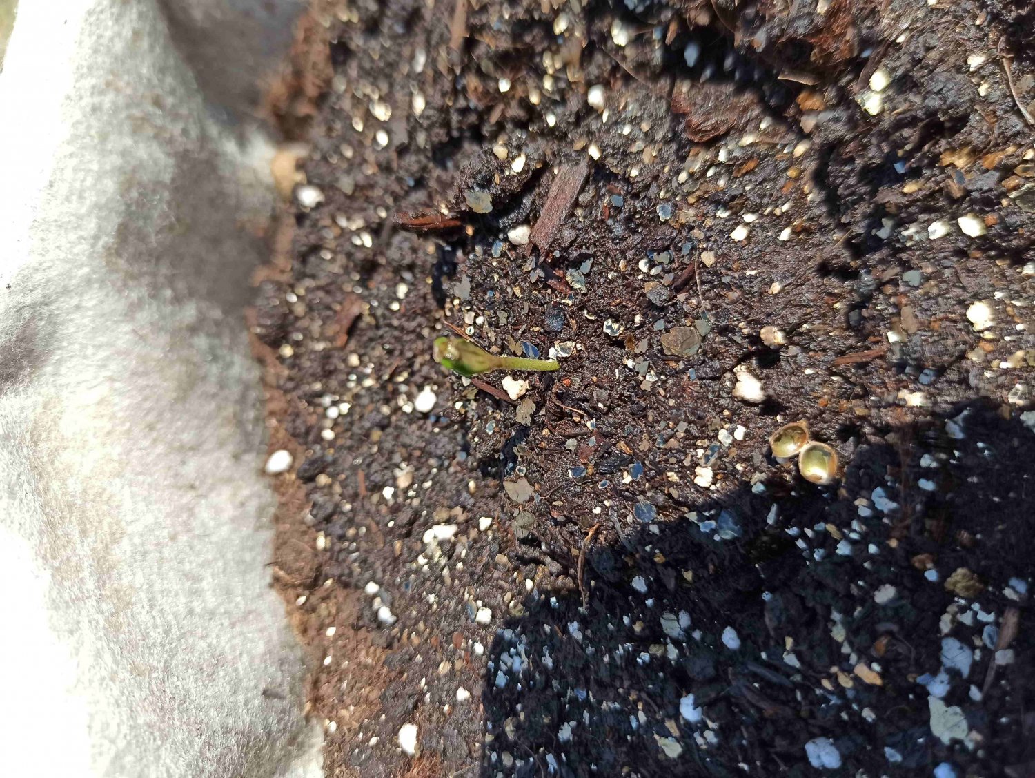 IMG_20220514_153707 (1).jpg IMG_20220514_153707 (1).jpg