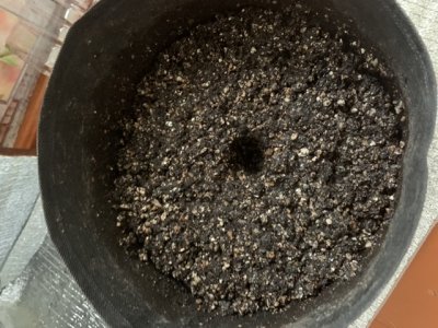 8E6A4C26-83AE-4F87-8F84-A2300889E0F9.jpeg 8E6A4C26-83AE-4F87-8F84-A2300889E0F9.jpeg