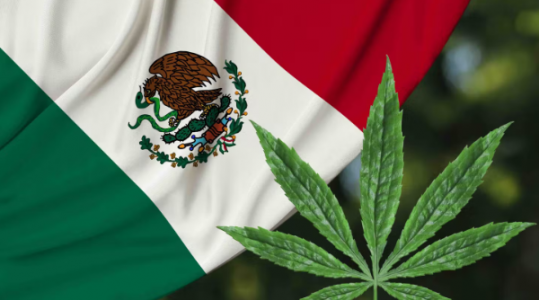 1652636037832.png 1652636037832.png