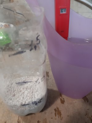 20220520_211426.jpg 20220520_211426.jpg