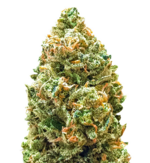 1761724907553.png 1761724907553.png