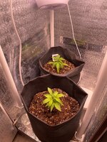 photo_2025-10-29_18-34-15 (2).jpg