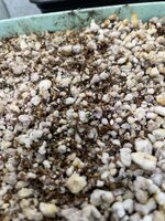 IMG_1376.jpeg IMG_1376.jpeg