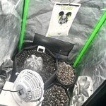 732d6ffcb270dc7e32f67c91a1f3611c.jpeg 732d6ffcb270dc7e32f67c91a1f3611c.jpeg