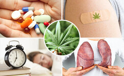 mozhet-li-marihuana-oblegchit-simptomy-prostudy-i-grippa__w0nuDUxC5j9TaPcp.jpg mozhet-li-marihuana-oblegchit-simptomy-prostudy-i-grippa__w0nuDUxC5j9TaPcp.jpg