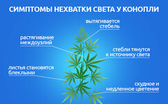 Simptomy-nekhvatki-sveta__4t27pCYEjaL9VHQ2.jpg Simptomy-nekhvatki-sveta__4t27pCYEjaL9VHQ2.jpg