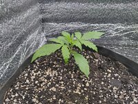 IMG_20251111_125224.jpg IMG_20251111_125224.jpg