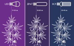 Rasstoyanie-ot-lampy-do-kusta__20PKhPK5LAb9iuLk.jpg Rasstoyanie-ot-lampy-do-kusta__20PKhPK5LAb9iuLk.jpg