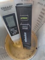 IMG_20251113_163940.jpg IMG_20251113_163940.jpg