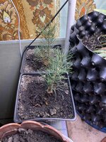 IMG_1602.jpeg IMG_1602.jpeg