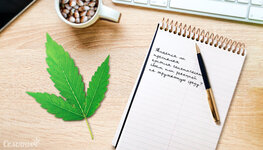 trehpalye-listya-konopli__7e2BOvuwp4XQ7ih1.jpg trehpalye-listya-konopli__7e2BOvuwp4XQ7ih1.jpg