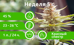 week-5__ibAxWwn3HtCFY7CK.jpg week-5__ibAxWwn3HtCFY7CK.jpg