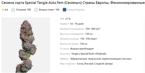 Снимок экрана 2025-11-18 173249.png