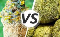 Moonrocks-Sunrocks__ozMQzh4x0dB4XoNq.jpg Moonrocks-Sunrocks__ozMQzh4x0dB4XoNq.jpg