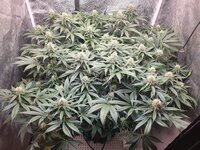 20251122_213825.jpg 20251122_213825.jpg