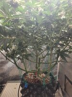 20251122_213849.jpg 20251122_213849.jpg