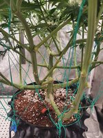 20251122_213855.jpg 20251122_213855.jpg