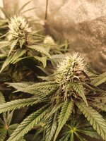 20251122_210737.jpg 20251122_210737.jpg