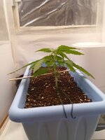 1000022199.jpg 1000022199.jpg