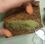 IMG_20251107_205416_181.jpg IMG_20251107_205416_181.jpg