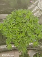 Первый фотик