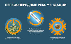 Pervoocherednye-rekomendacii__DQ7o5UCYbUNjGzH2.jpg
