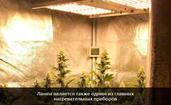 Nastrojte-rabotu-osvetitelnyh-priborov__GT2hyGT2GZPSTGqo.jpg Nastrojte-rabotu-osvetitelnyh-priborov__GT2hyGT2GZPSTGqo.jpg