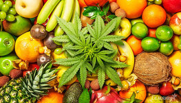 terpeny-konopli-chem-bolshe-tem-luchshe__PezLGjoA4JLSfZOV.jpg terpeny-konopli-chem-bolshe-tem-luchshe__PezLGjoA4JLSfZOV.jpg