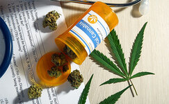 cennost-terpenov-dlya-medicinskoj-konopli__eDUliLnjbrOVYeHc.jpg cennost-terpenov-dlya-medicinskoj-konopli__eDUliLnjbrOVYeHc.jpg