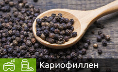 kariofillen__9Zp2bBTmsmT2l023.jpg kariofillen__9Zp2bBTmsmT2l023.jpg