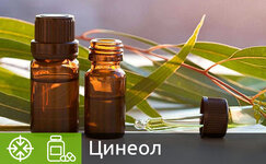 cineol__C3AmSJ8t0ZaKJwgt.jpg cineol__C3AmSJ8t0ZaKJwgt.jpg