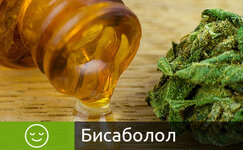 bisabolol__jXYlHCzGz5sNaAEt.jpg bisabolol__jXYlHCzGz5sNaAEt.jpg