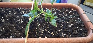 1000022448.jpg 1000022448.jpg