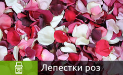 lepestki-roz__9q2mZ1In2E4ObMPL.jpg lepestki-roz__9q2mZ1In2E4ObMPL.jpg