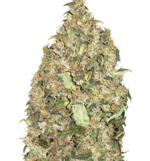 1764766968377.png 1764766968377.png