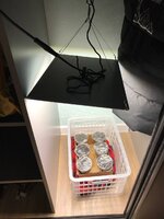 Добрая Сативка