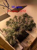 Сказки из тумбы для врослых детин! 3.0