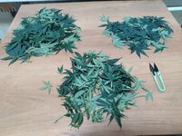 IMG_20251210_161244.jpg IMG_20251210_161244.jpg