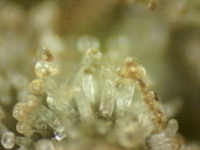 Photo_2025-09-10 06_44_44_695.png