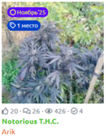 1765785449250.png 1765785449250.png