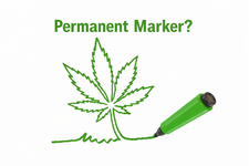 perm-marker.png