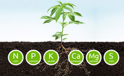 makroehlementy__C0Vr1HVBK6jYaIah.jpg makroehlementy__C0Vr1HVBK6jYaIah.jpg