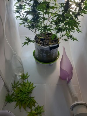 20220520_214916.jpg 20220520_214916.jpg