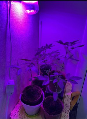 16.04.22.jpeg 16.04.22.jpeg