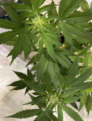 4.05.22 3.jpeg 4.05.22 3.jpeg